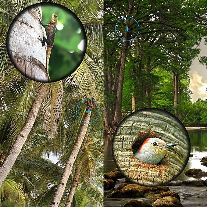 Crony B 16*52 Binoculars 16x52 Binoculars Telescope Outdoor Lightweight Night Vision for Hunting Travelling Camping Surveillance - Edragonmall.com