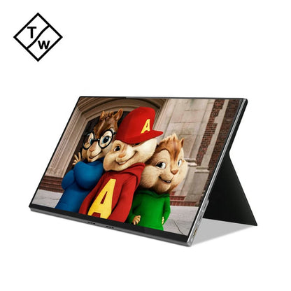 CRONY: 15.6-Inch Portable  Screen