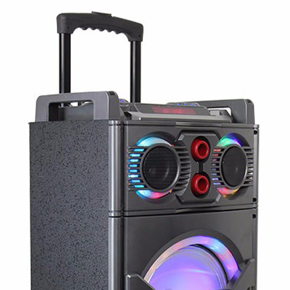 CRONY CN-101DK Portable speaker - Edragonmall.com