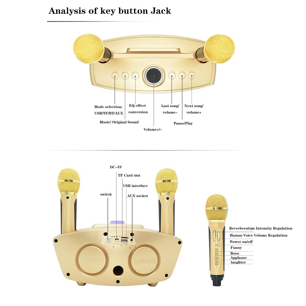 SD306 BT Speaker | Strange Designs Give 2 Microphones- Gold - Edragonmall.com